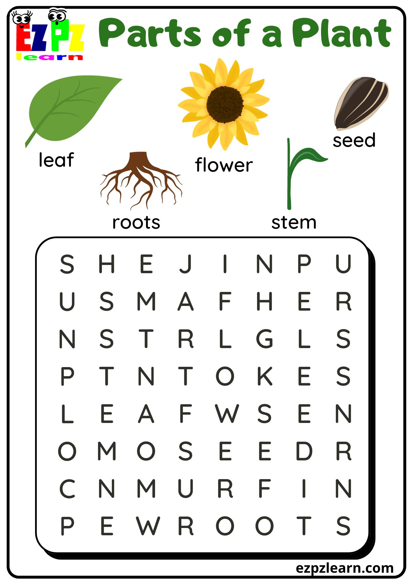 Parts of a Plant Vocabulary Word Search Activity for Kindergarten or ESL Students Free Printable PDF Download 